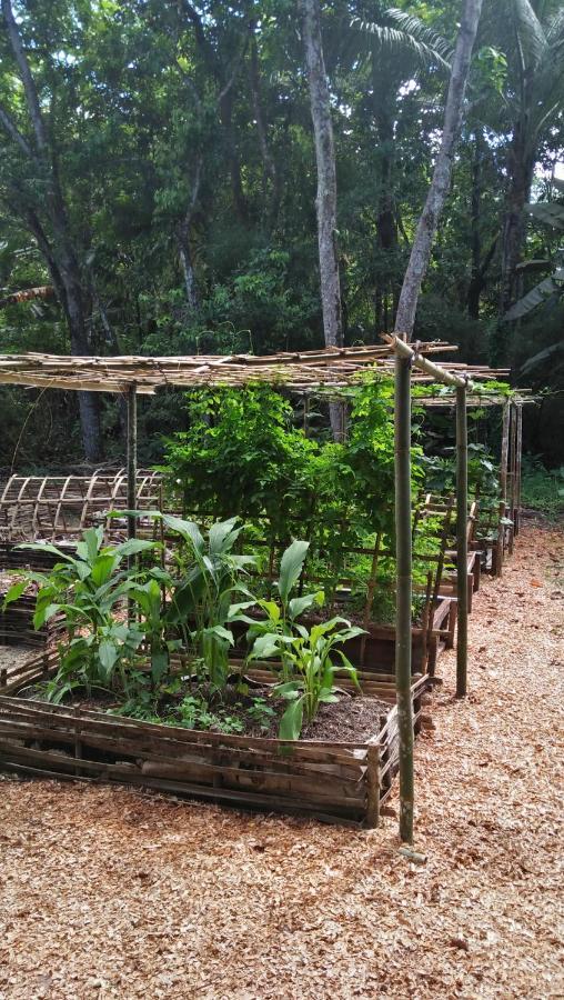 Salty Dog Hostel Telukdalem المظهر الخارجي الصورة