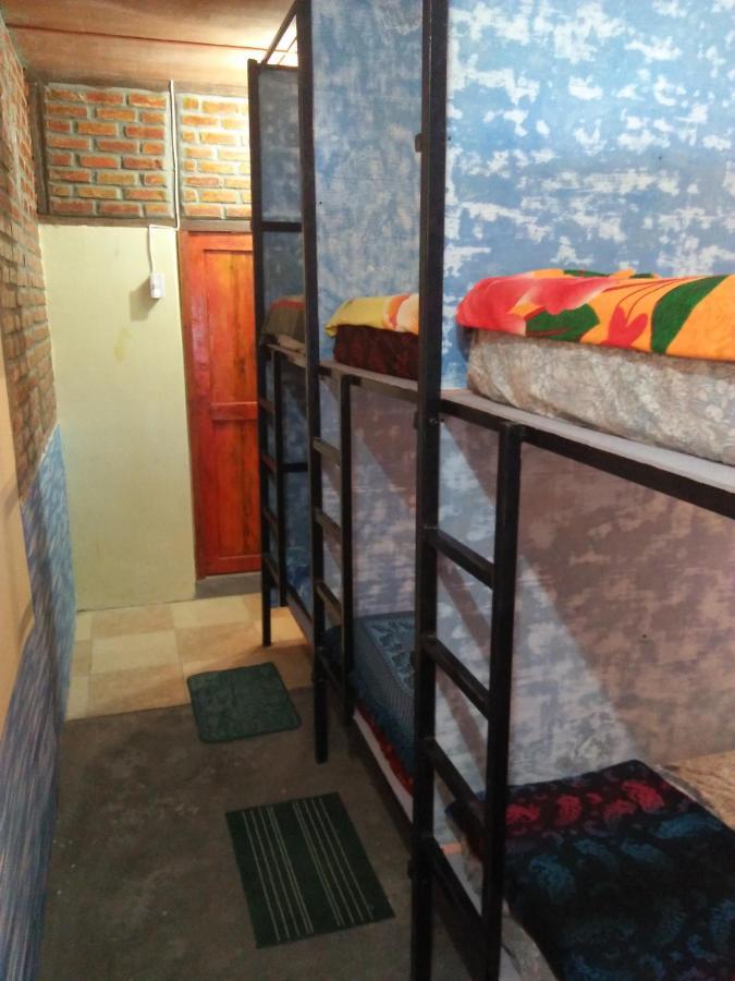 Salty Dog Hostel Telukdalem المظهر الخارجي الصورة
