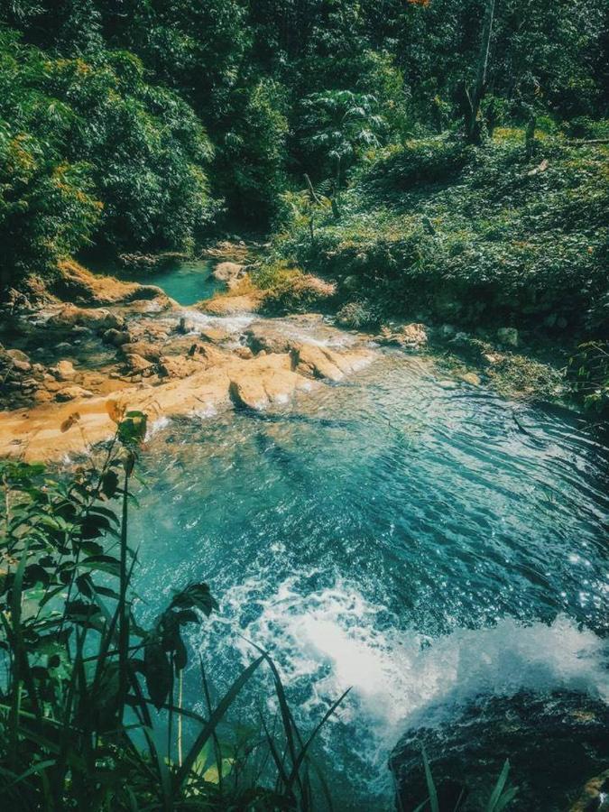 Salty Dog Hostel Telukdalem المظهر الخارجي الصورة