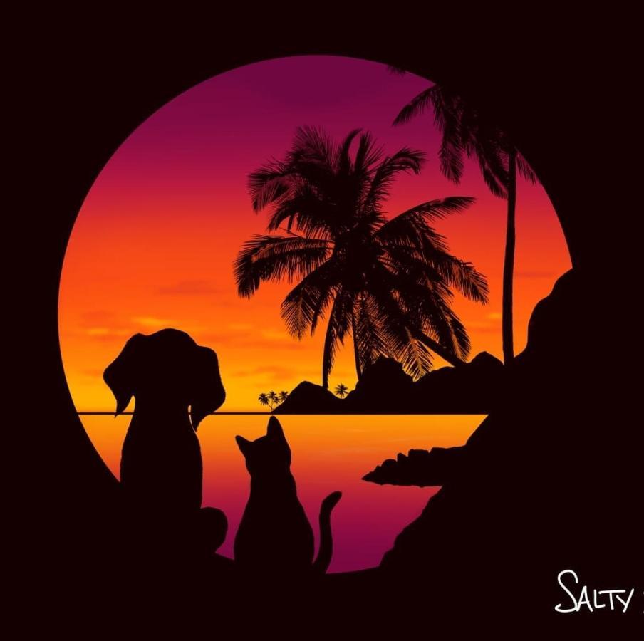 Salty Dog Hostel Telukdalem المظهر الخارجي الصورة