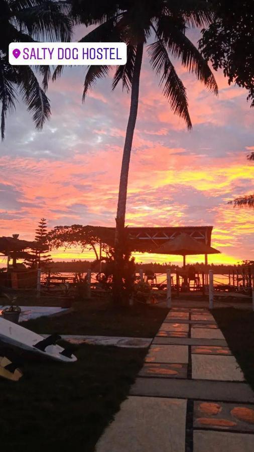 Salty Dog Hostel Telukdalem المظهر الخارجي الصورة