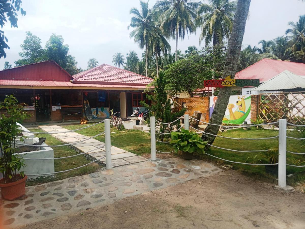 Salty Dog Hostel Telukdalem المظهر الخارجي الصورة