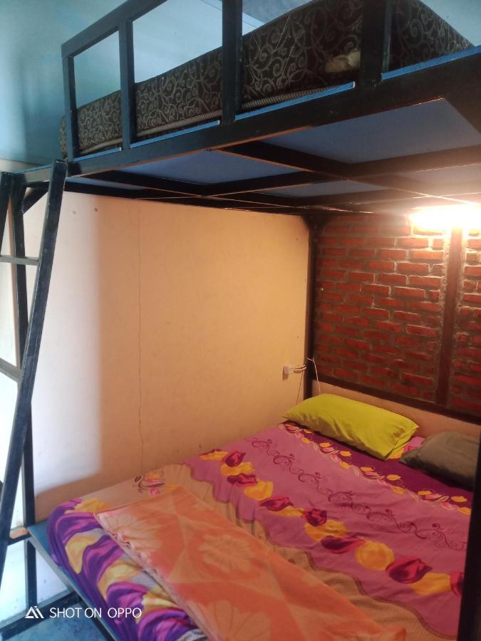 Salty Dog Hostel Telukdalem المظهر الخارجي الصورة